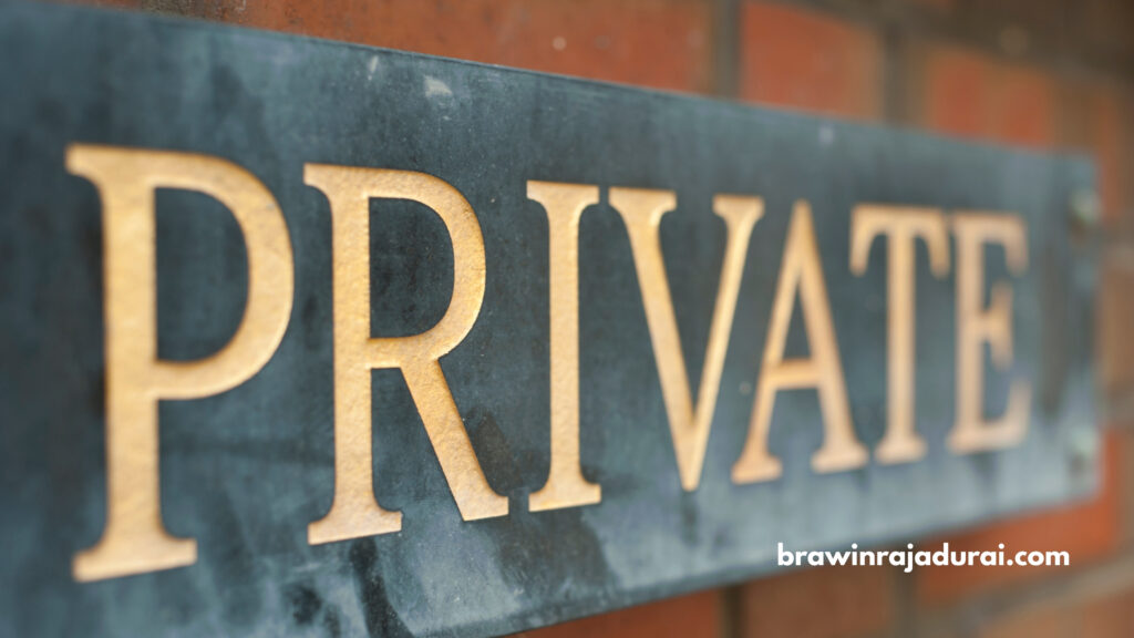 private-limited-company-brawin-rajadurai-types-of-business